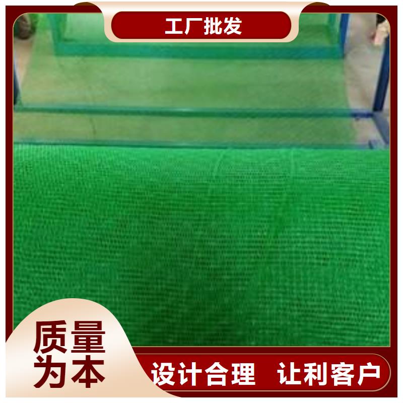 三维植被网_凸结点钢塑土工格栅款式多样