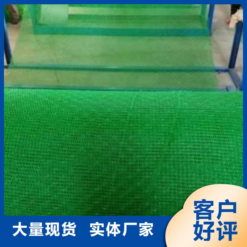 三维植被网三维土工网垫专业按需定制
