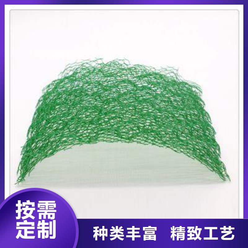 三维植被网玻纤土工格栅细节展示