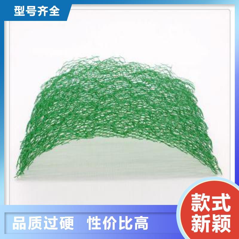 三维植被网三维土工网垫专业按需定制