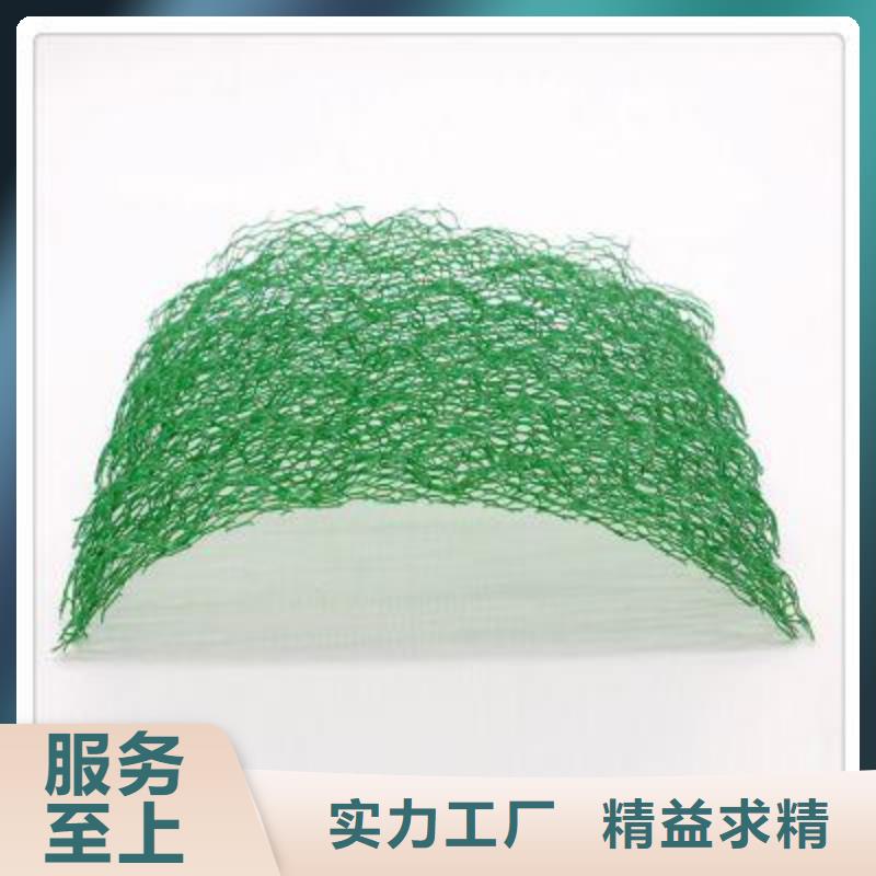 三维植被网双向塑料土工格栅追求细节品质