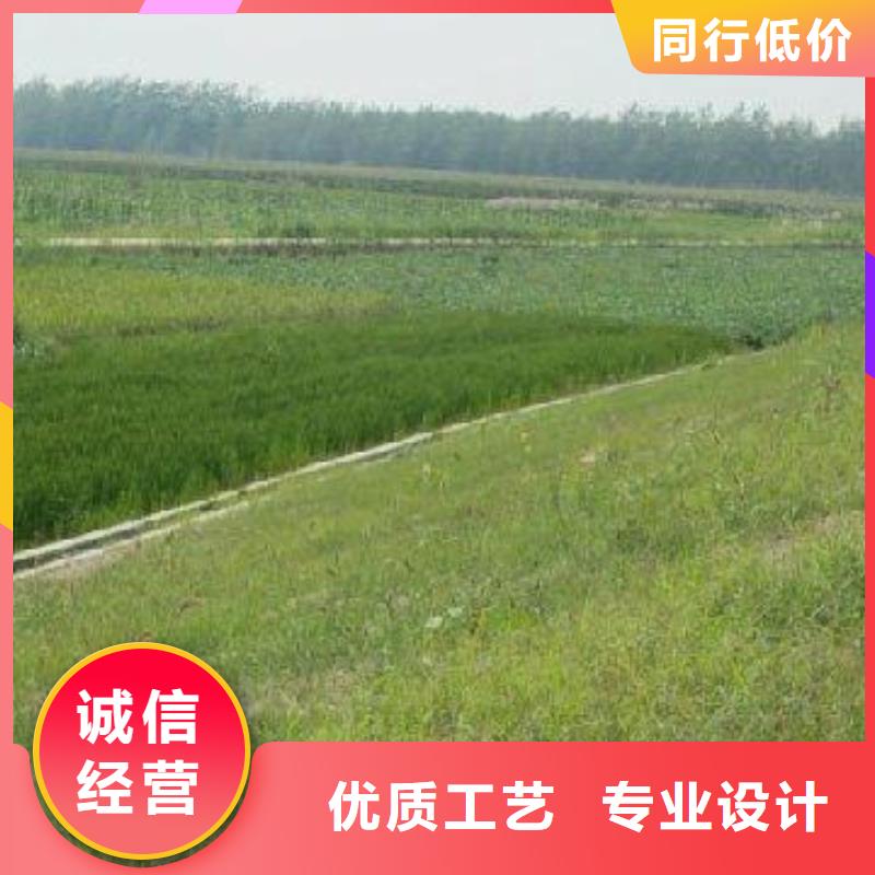 【三维植被网】钢塑土工格栅一站式服务