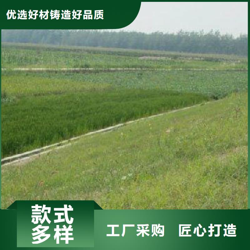 三维植被网三维土工网垫设备齐全支持定制