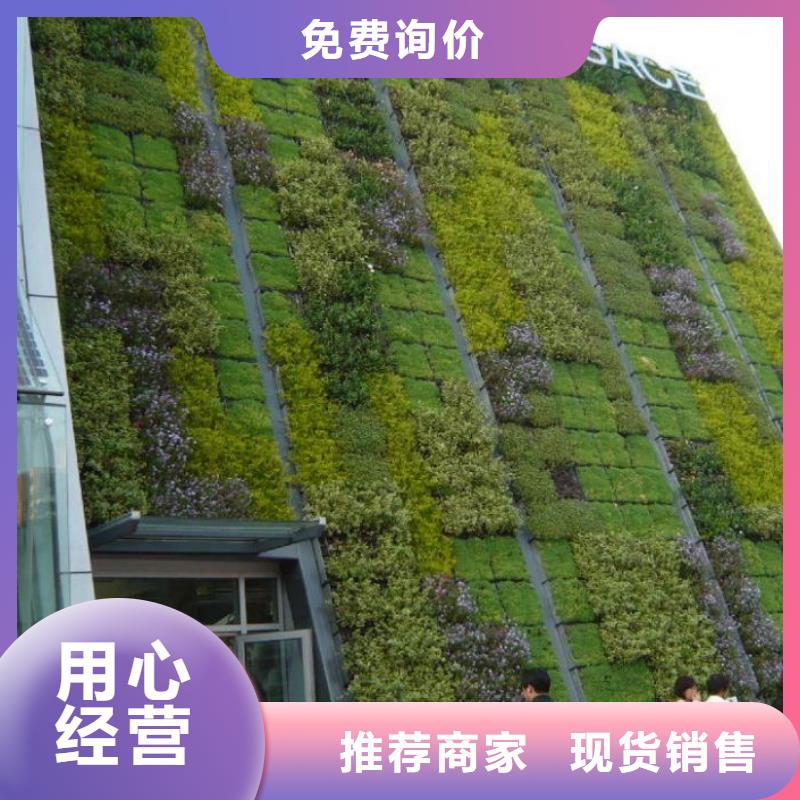三维植被网单向塑料土工格栅好货直销