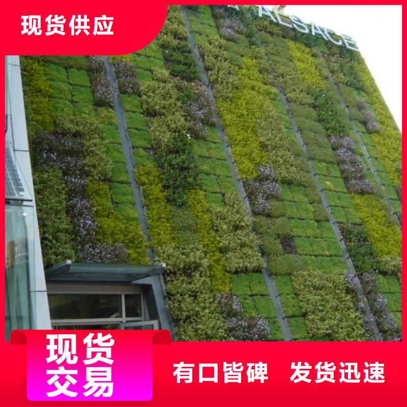 三维植被网双向塑料土工格栅追求细节品质