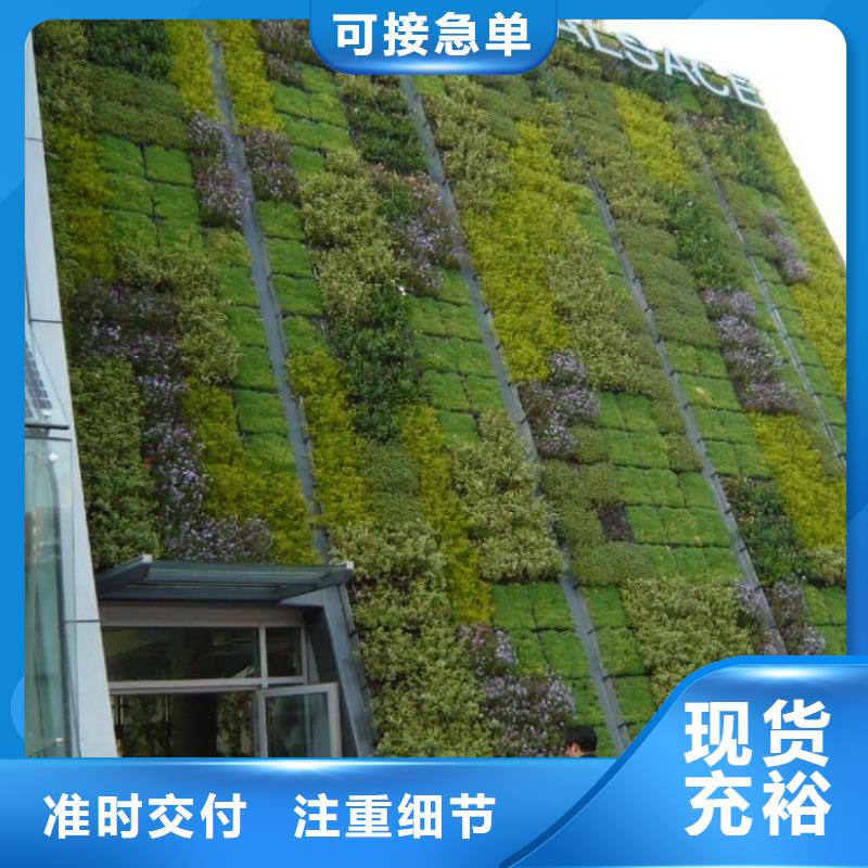 三维植被网玻纤土工格栅细节展示