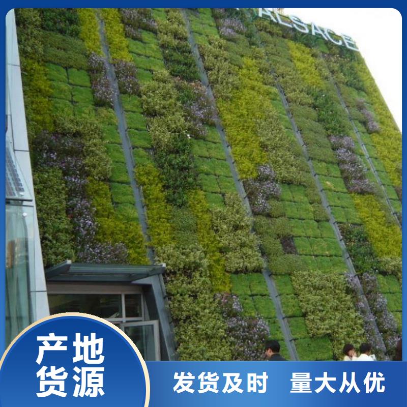 三维植被网土工格室用心做产品