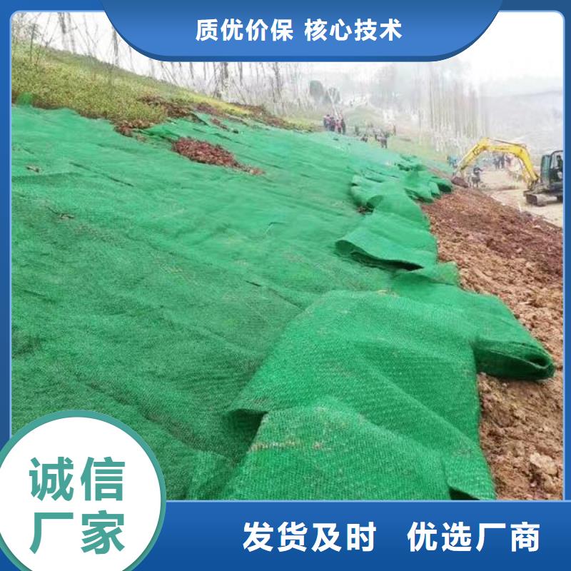 三维植被网长丝土工布长期供应