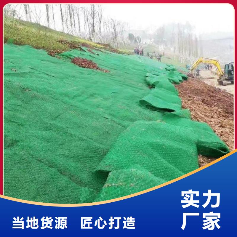 三维植被网土工席垫现货