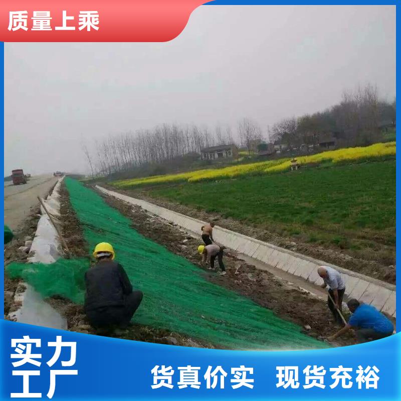 三维植被网PP焊接土工格栅现货采购