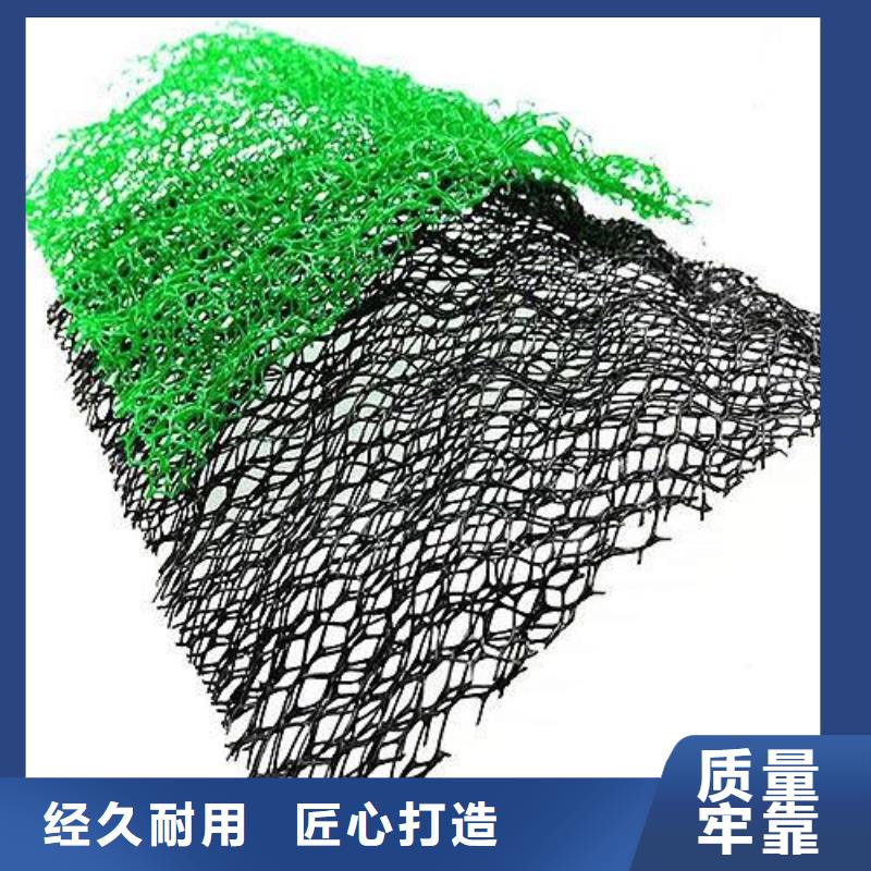 三维植被网三维土工网垫专业按需定制