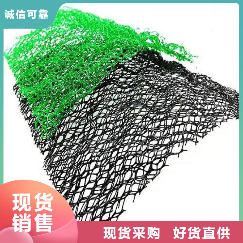 三维植被网三维土工网垫拥有核心技术优势