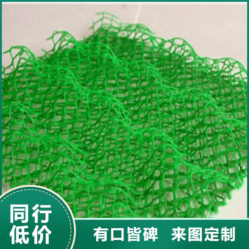 三维植被网双向塑料土工格栅现货实拍