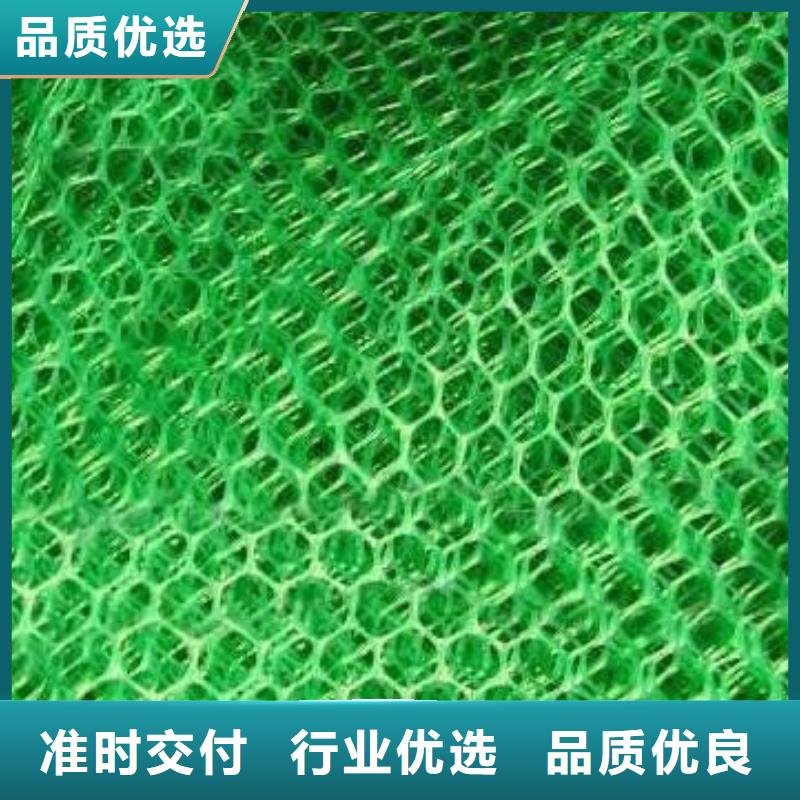 三维植被网三维复合排水网实地大厂