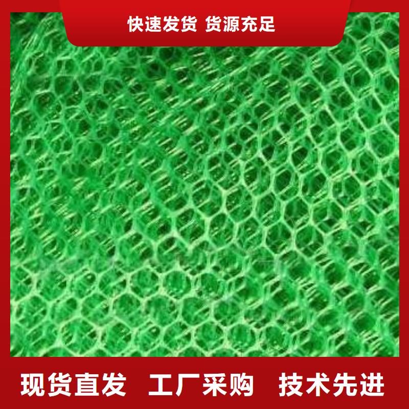 三维植被网土工格室品质优选