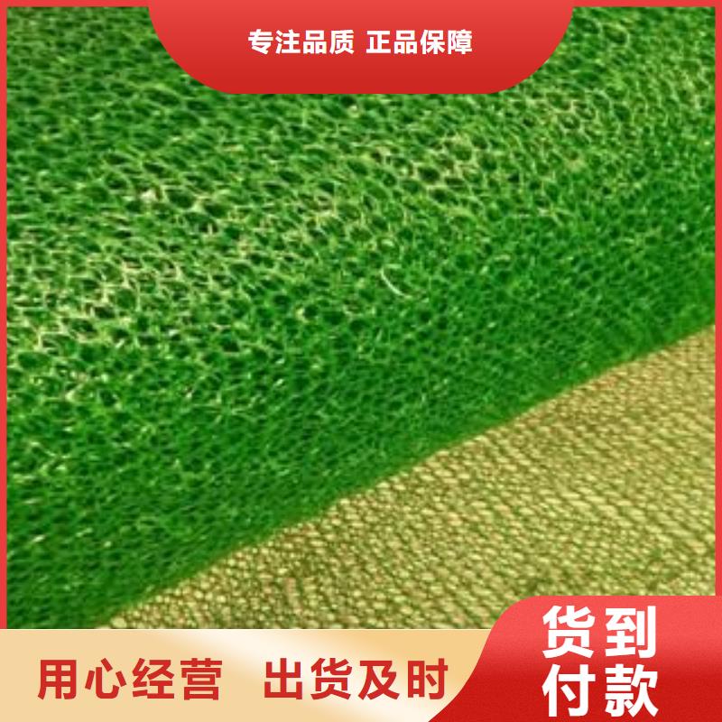 【三维植被网,双向塑料土工格栅就近发货】