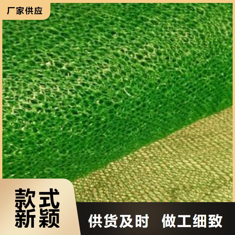 三维植被网土工席垫现货