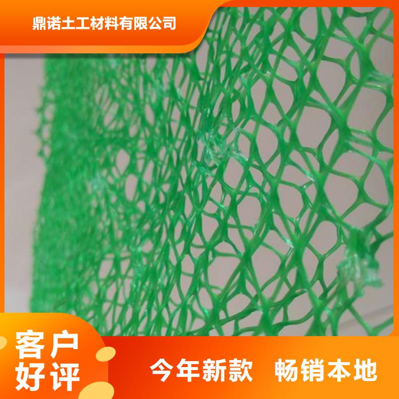 三维植被网玻纤土工格栅细节展示