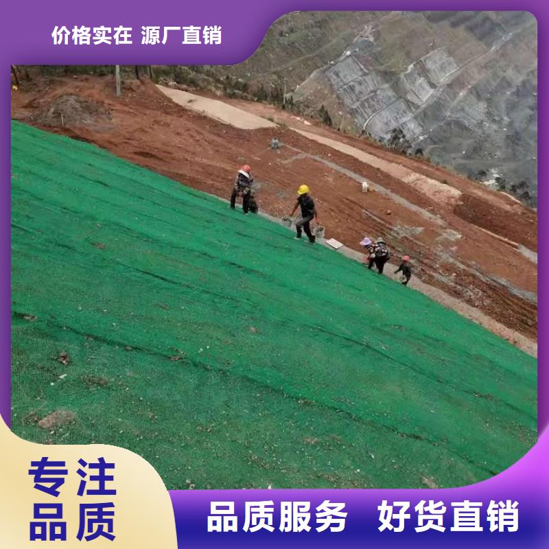 三维植被网双向拉伸土工格栅助您降低采购成本