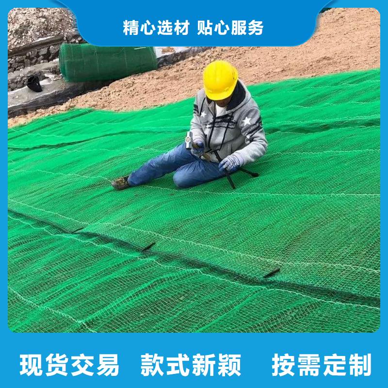 三维植被网三维土工网垫拥有核心技术优势