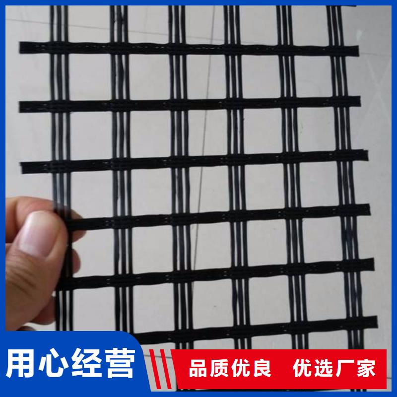 玻纤土工格栅土工席垫一周内发货