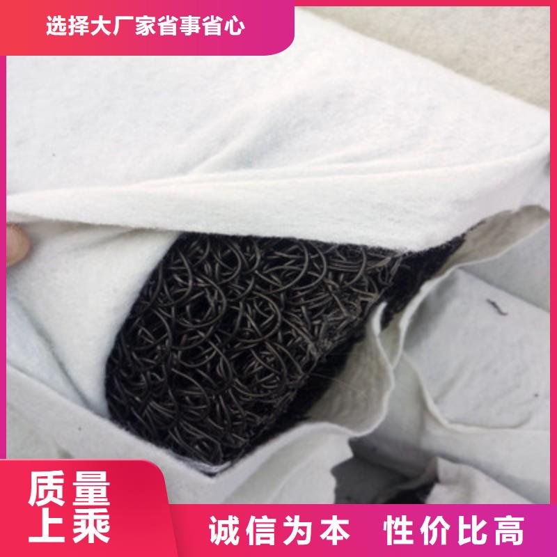 塑料盲沟凸结点钢塑土工格栅实体厂家
