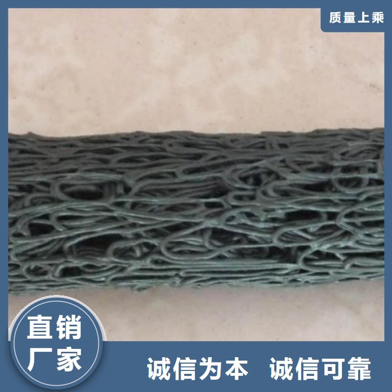 塑料盲沟-玻纤土工格栅实力才是硬道理