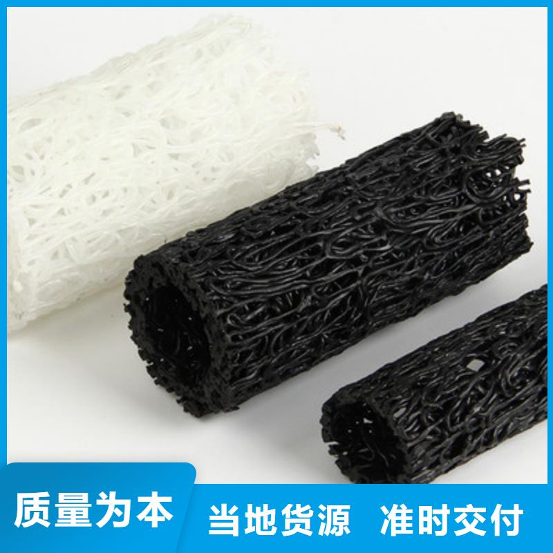 塑料盲沟凸结点钢塑土工格栅厂家货源