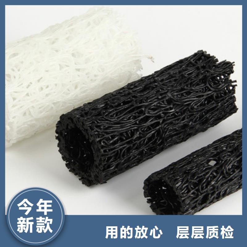 【塑料盲沟】涤纶土工格栅支持大小批量采购