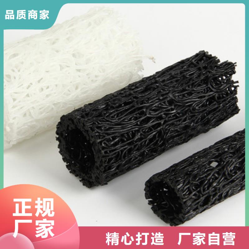 塑料盲沟凸结点钢塑土工格栅实体厂家