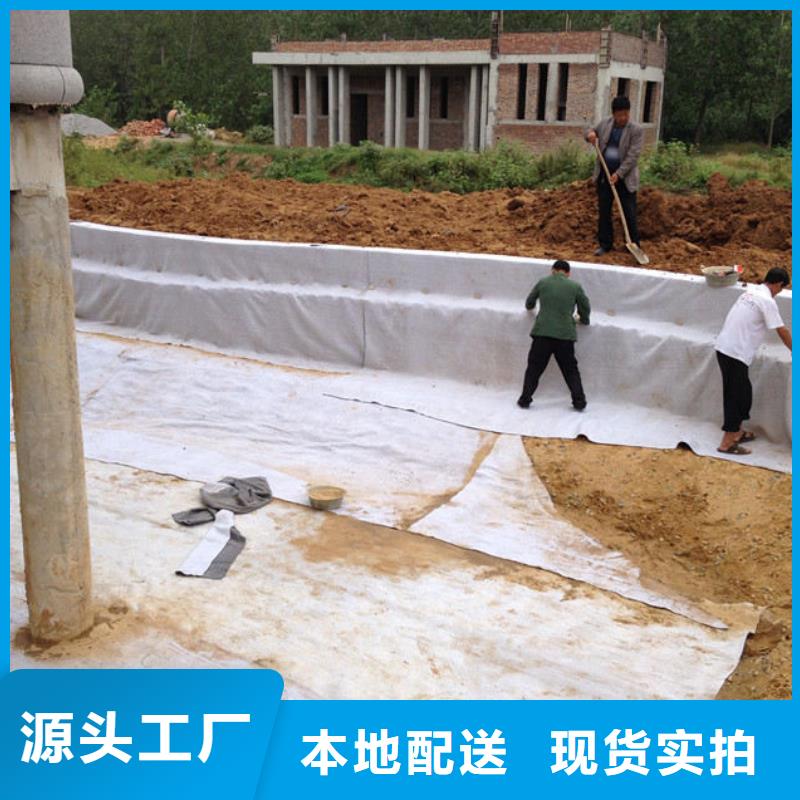 膨润土防水毯-凸结点钢塑土工格栅品质做服务