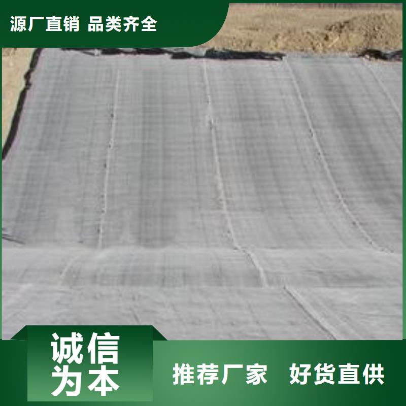 【膨润土防水毯】塑料盲沟质量上乘