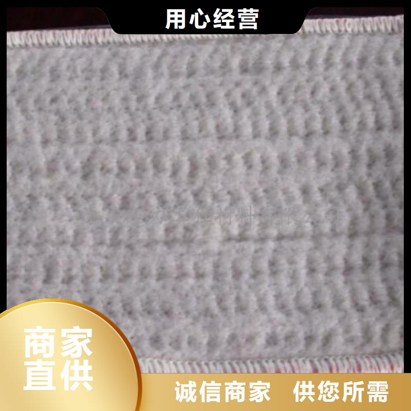 膨润土防水毯水土保护毯厂家质量过硬