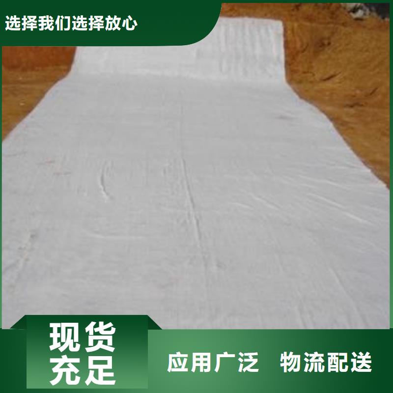 膨润土防水毯土工席垫厂家实力雄厚