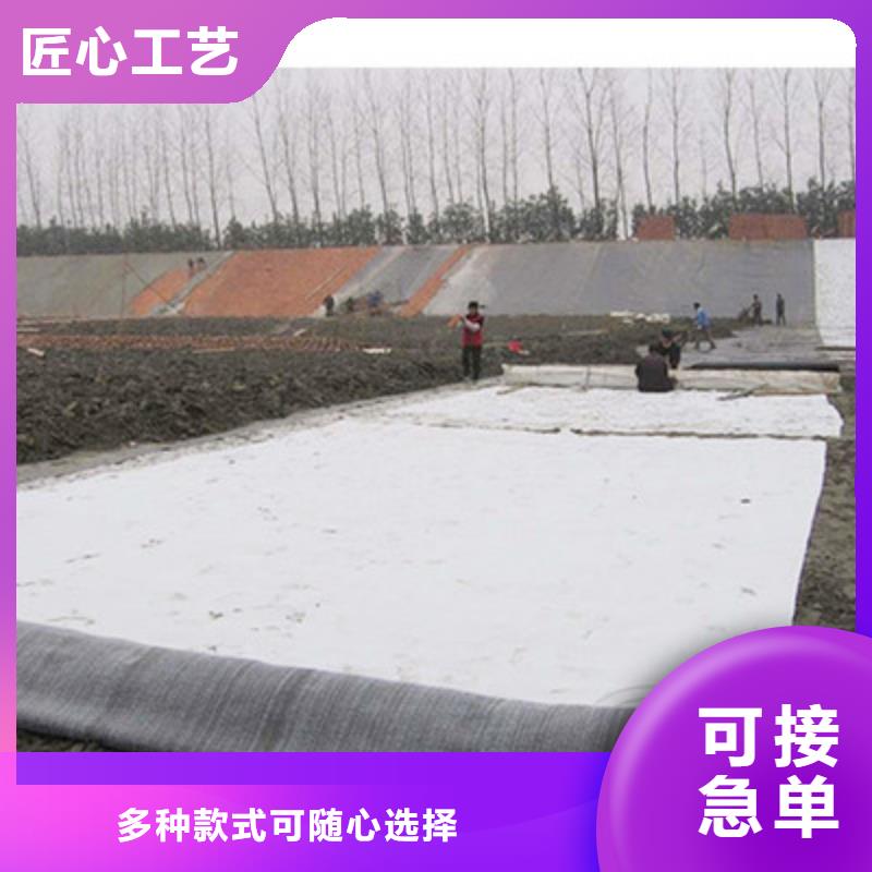 膨润土防水毯-塑料盲沟做工细致