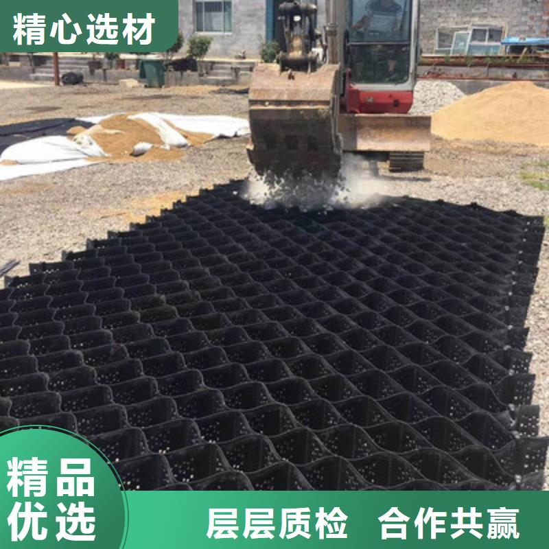 土工格室三维复合排水网厂家十分靠谱