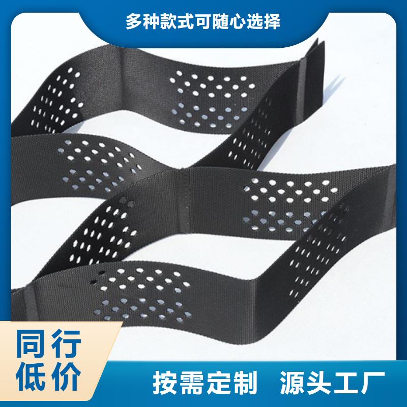 土工格室三维土工网垫就近发货