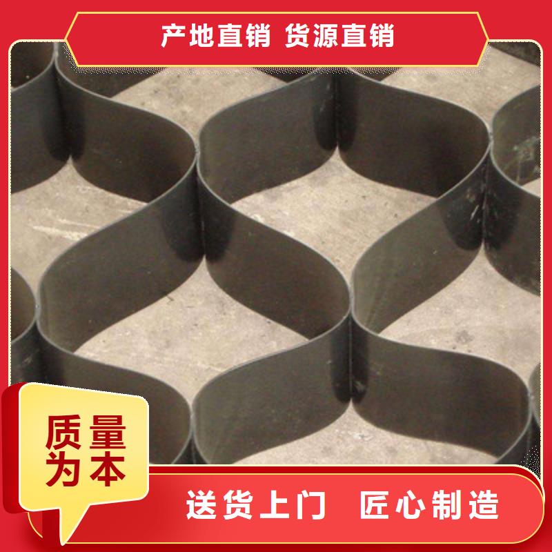 土工格室护坡土工网厂家案例