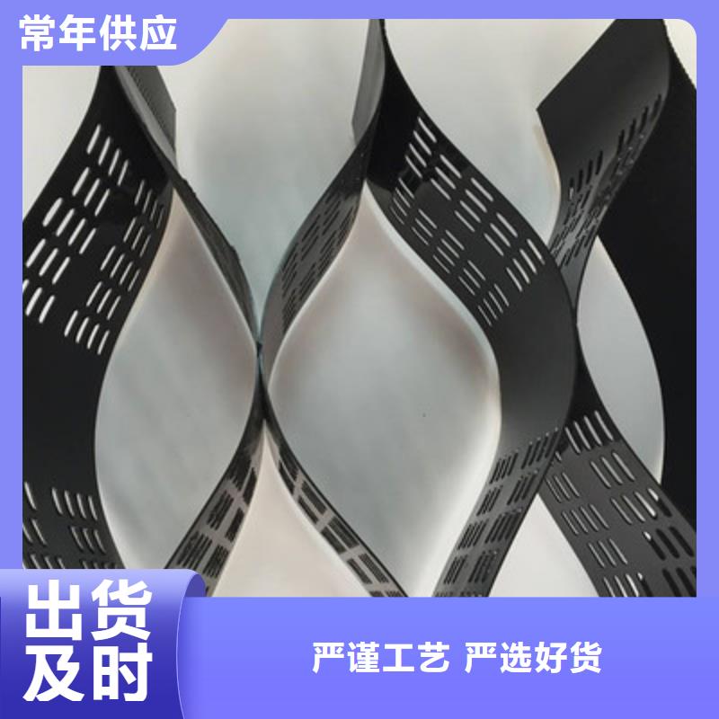土工格室三维复合排水网厂家十分靠谱