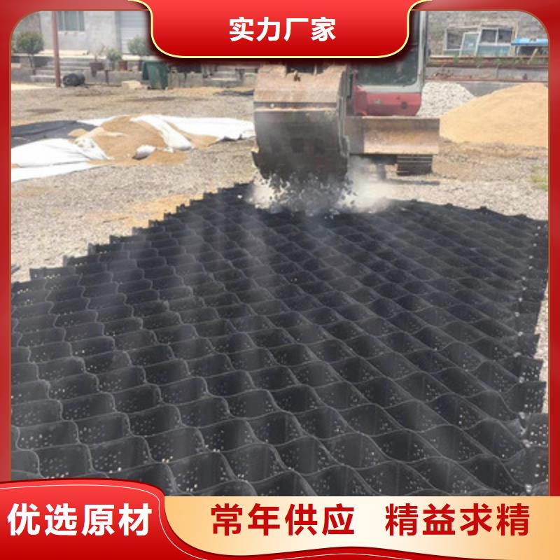 土工格室三维土工网垫就近发货