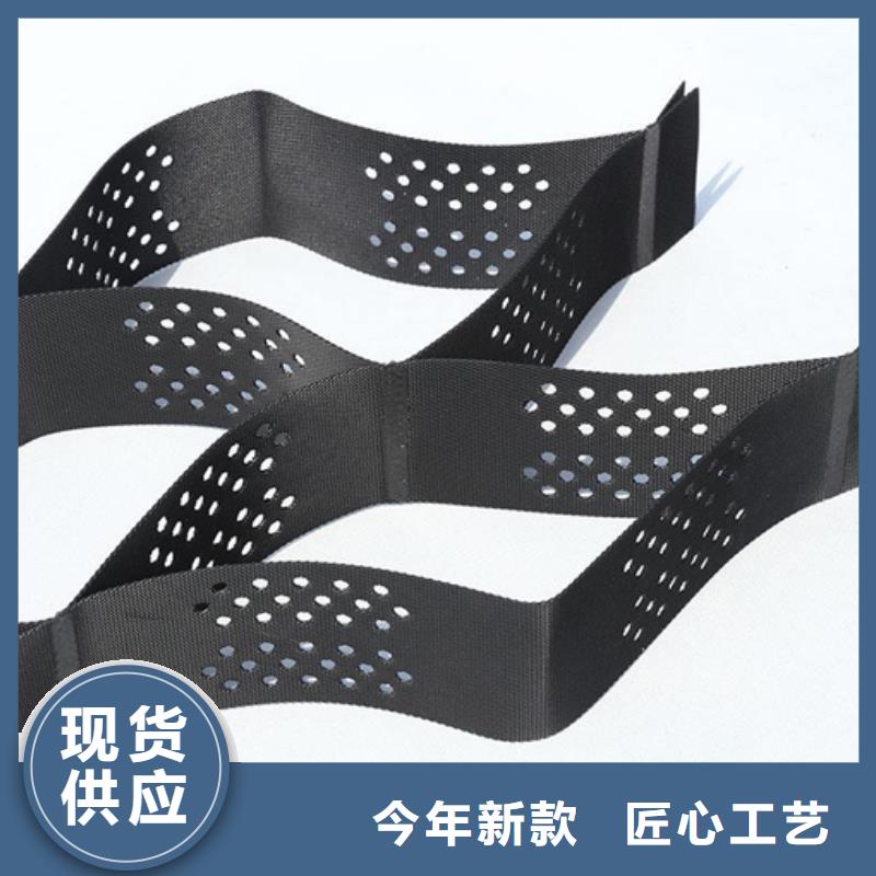土工格室三维植被网海量现货直销