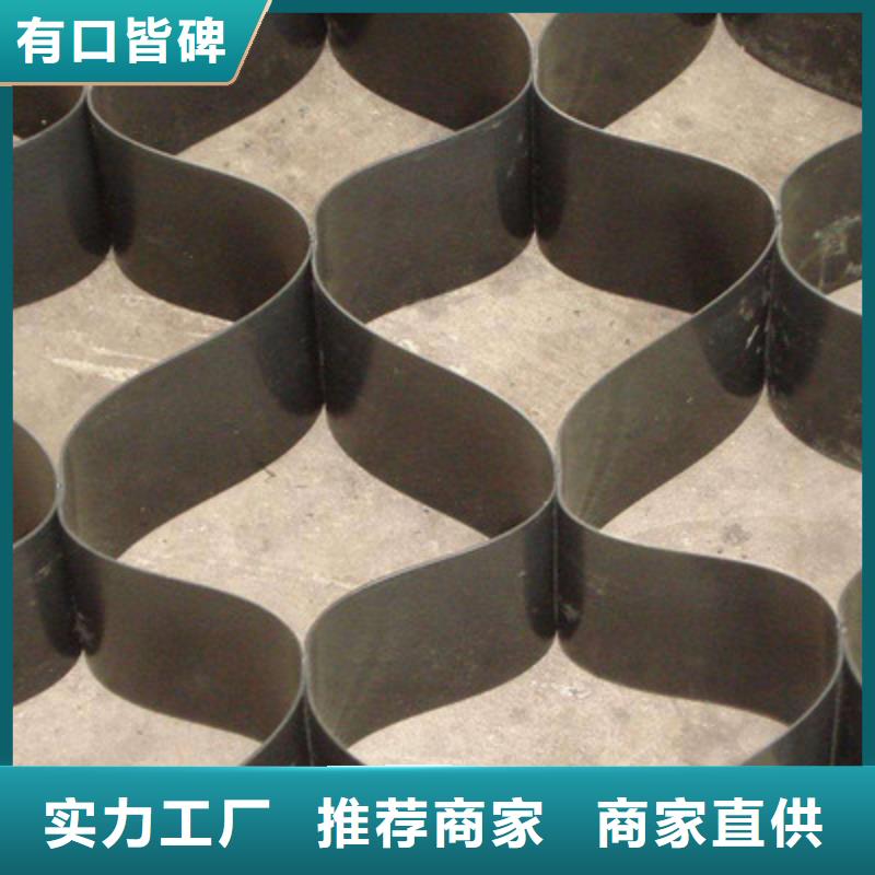 土工格室三维植被网海量现货直销