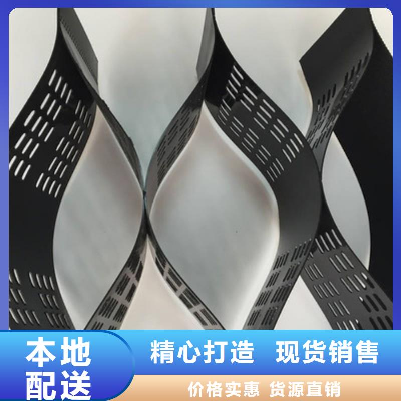 土工格室_双向塑料土工格栅厂家直销货源充足