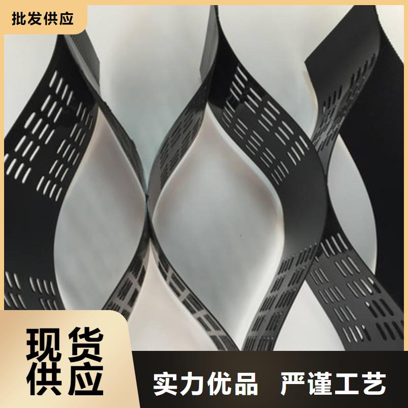 土工格室三维植被网海量现货直销