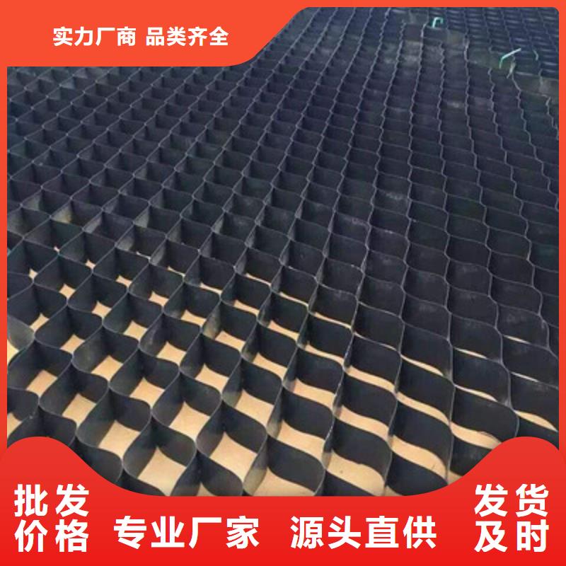 土工格室护坡土工网厂家案例