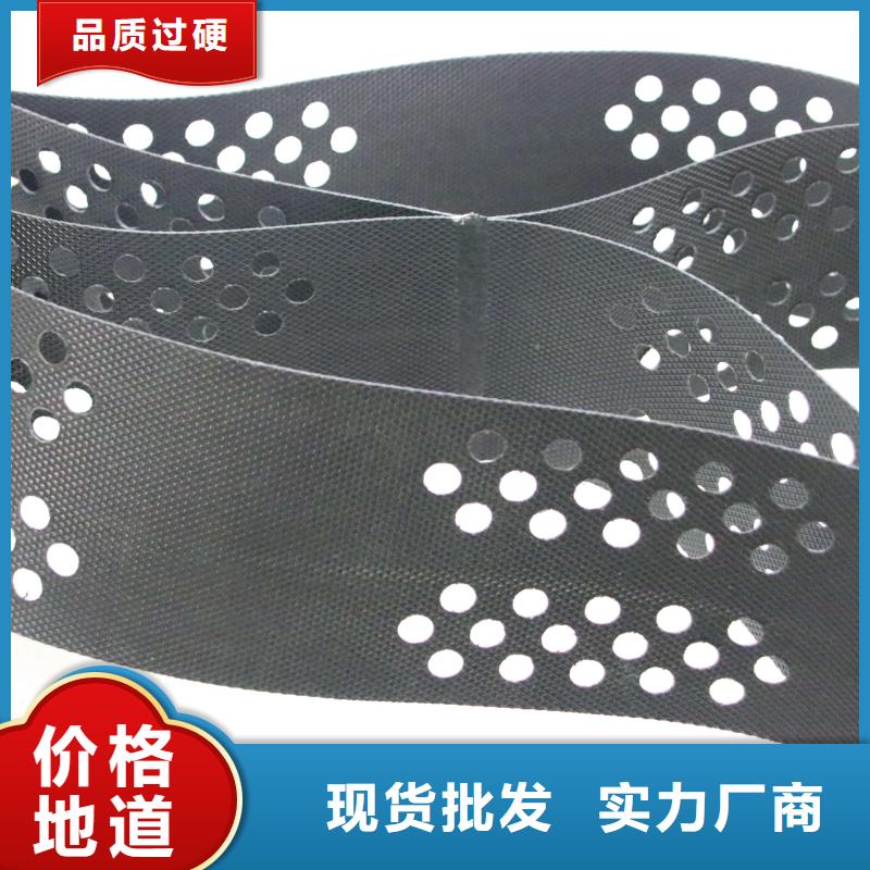 土工格室单向拉伸塑料格栅现货齐全售后无忧
