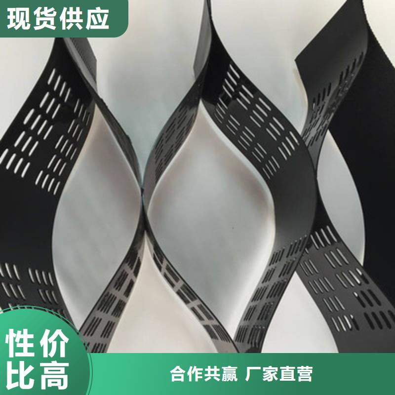 土工格室三维复合排水网厂家十分靠谱