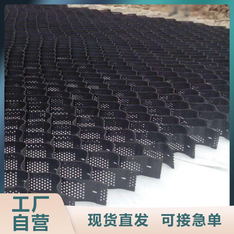土工格室三维复合排水网厂家十分靠谱