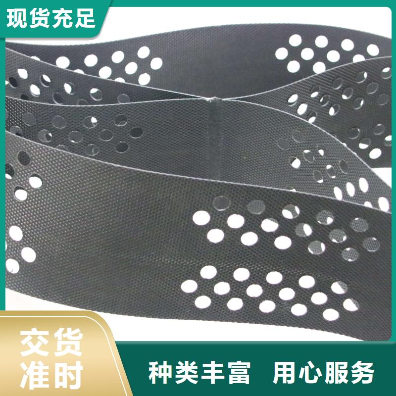 土工格室凸结点钢塑土工格栅随心所欲定制