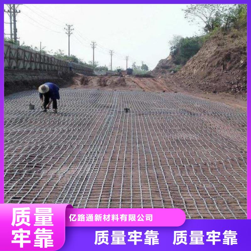 钢塑土工格栅土工席垫现货快速采购